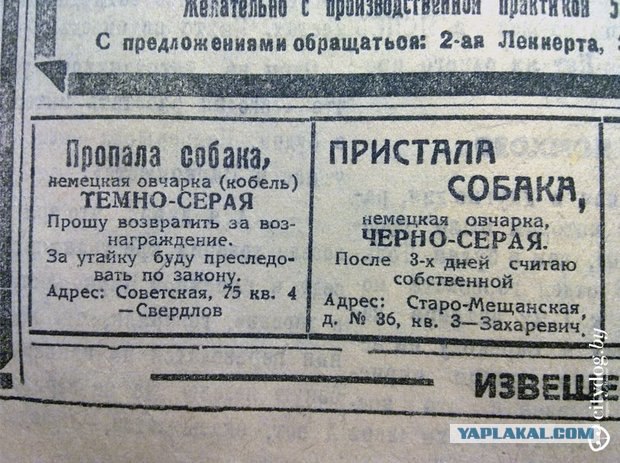 объявления о пропаже образец