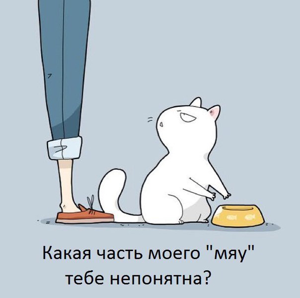 Немного картинок для настроения 05.02.20