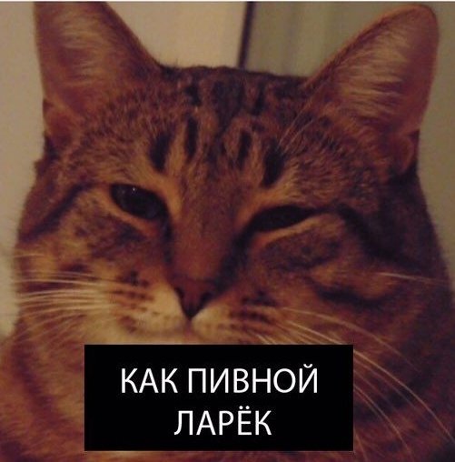 Зачем дебилы рожают детей!?