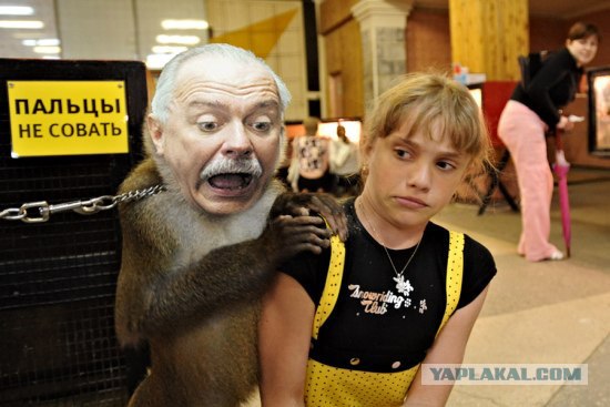 Фотожаба: Не совать!
