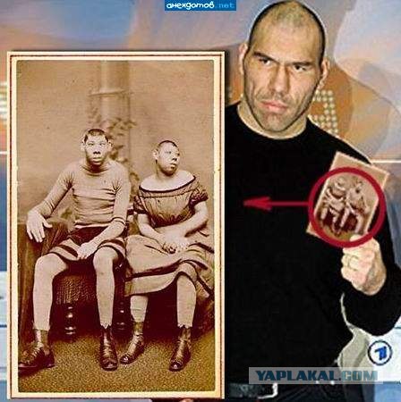 Игра: Ассоциации на ник пользователей ЯПлакалъ