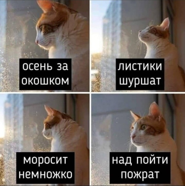 Немного картинок для настроения 05.11.20