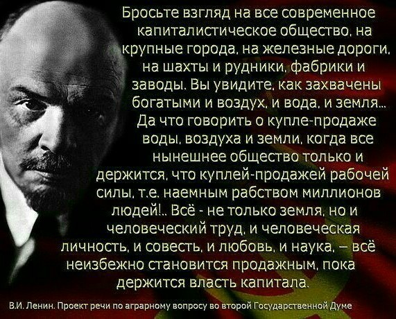 Москвичи кормят своих животных лучше, чем питаются пенсионеры в провинции: Реакция женщины на рацион леонбергера Мони
