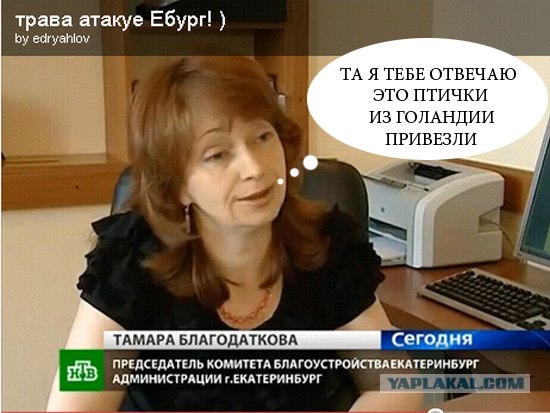 Трава атакует Ебург