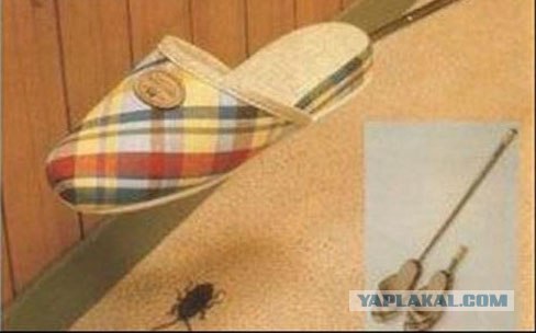 Паучок