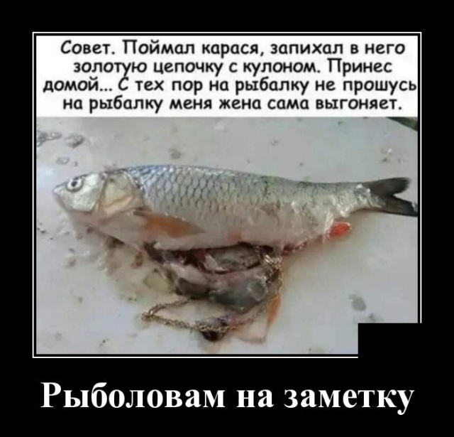 Бредзона 05.04.21
