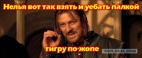 Тигр отужинал дрессировщиком