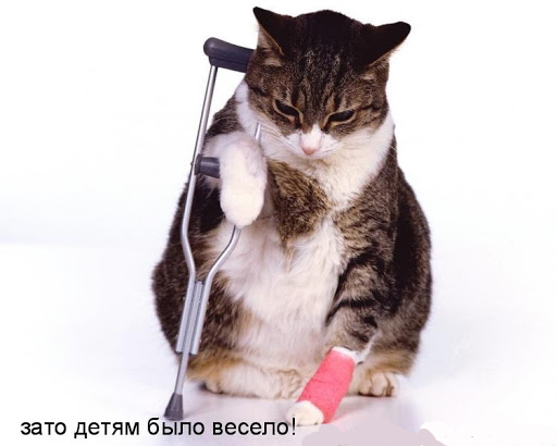 Внучка в гости приезжала