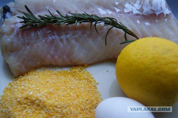 Все из рыбы!