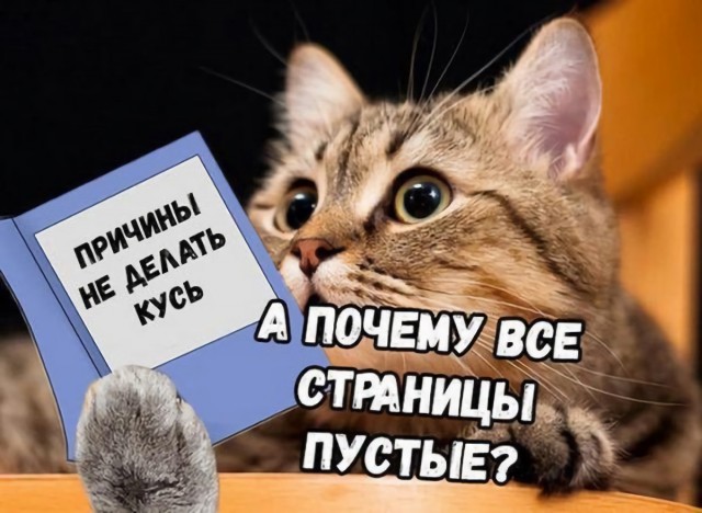 Картинки и мемы для настроения 29.09.2021