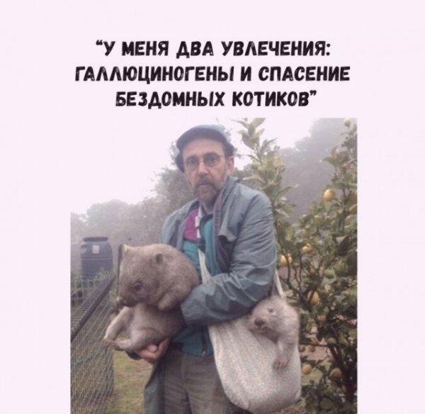 Прикольные и просто красивые картинки 12.10.2021