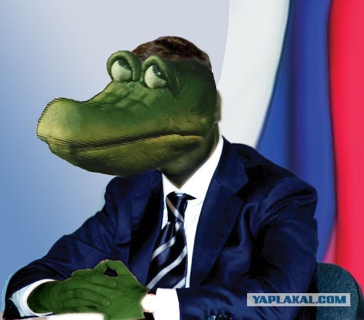 The Saker: Нуланд предложила Путину — возьмите восточную Украину, оставьте остальное