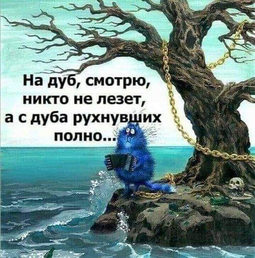 Всяческие картинки 10.11.2021