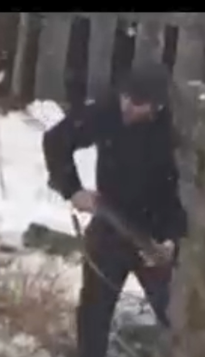 Пока в других регионах собаки рвут людей, в Дагестане с бешеными псами разговор короткий, без придыханий