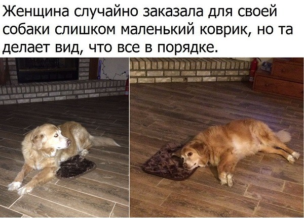 Так себе картинки 12.02.22