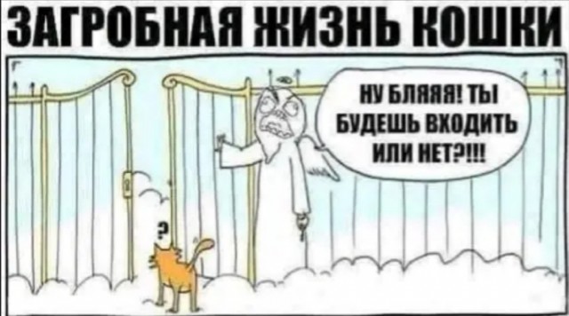 Так себе картинки 13.04.22
