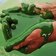 Украинские «мстители» готовы спасать мир