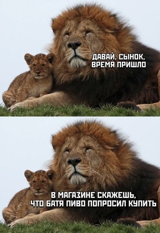 Картинки и мемы из Сети 24.07.22