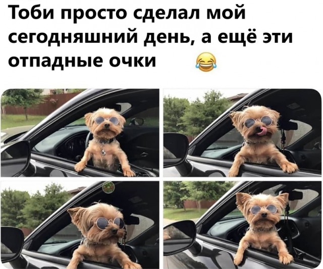 Картинки и мемы для настроения - 17