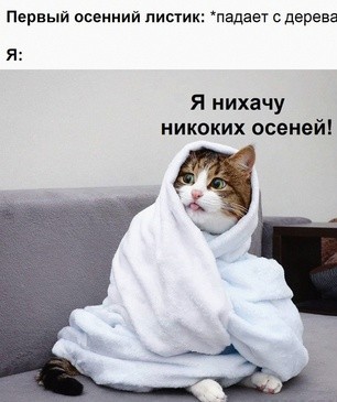 Картинки и мемы, всем хороших выходных