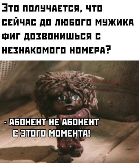 Весёлый полтишок 26.09.22