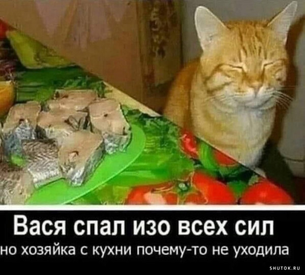 Так себе картинки 17.10.22