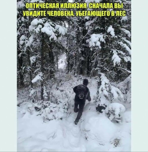 15 запутанных фото из серии «показалось», демонстрирующих, на что способен наш коварный мозг
