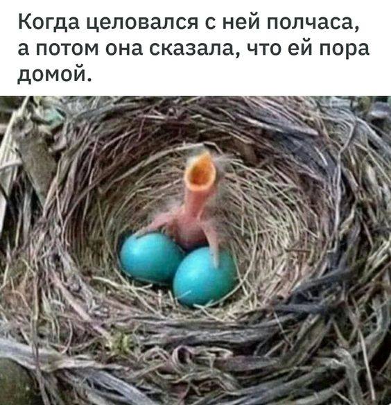 Замолчи мама