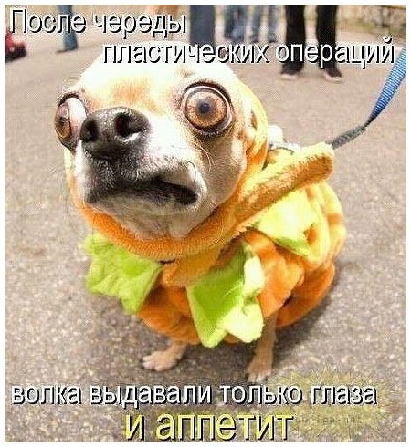 Доброе утро, ЯП!