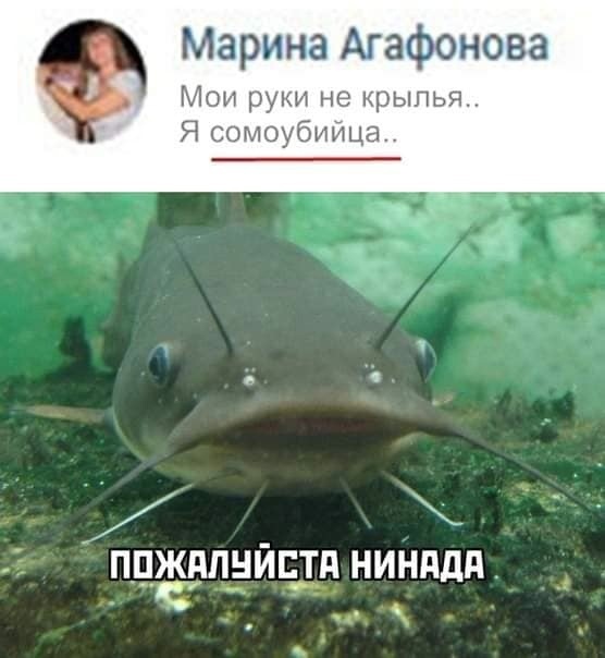 Раскрыт секрет женского одиночества