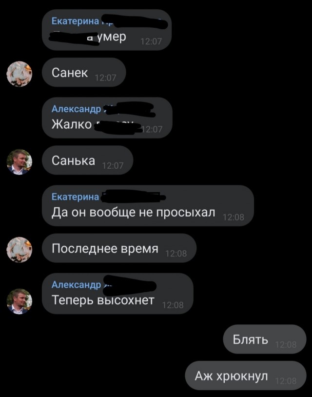 Чёрно-пошлая деградация