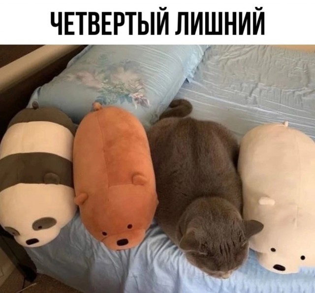 Картинки про всякое