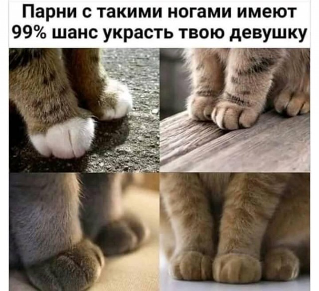 Нуштош 22.03.2023