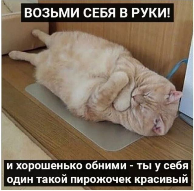 Победная поступь идиотизма по планете – том 12