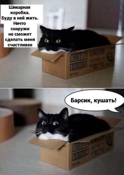 Всего понемногу 24.05