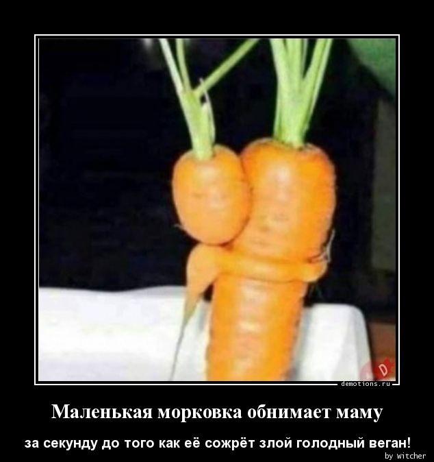 Поддерживать, но не следовать или опять про фанатиков