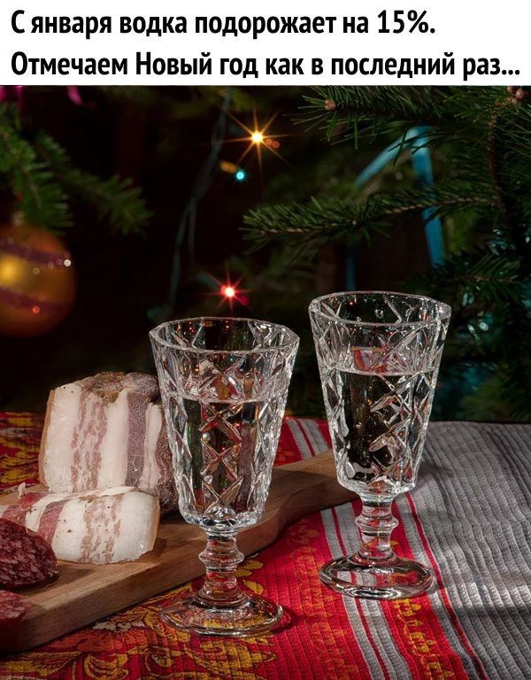 Немного забавных картинок от 22.12.24