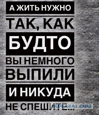 Веселые картинки в пятницу (07.02)