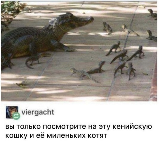 Не ходите дети в Бразилию гулять