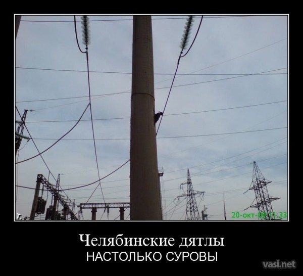 Раздача сокровищ из галереи