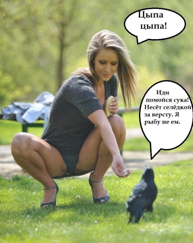Веселые картинки в понедельник (07.07)