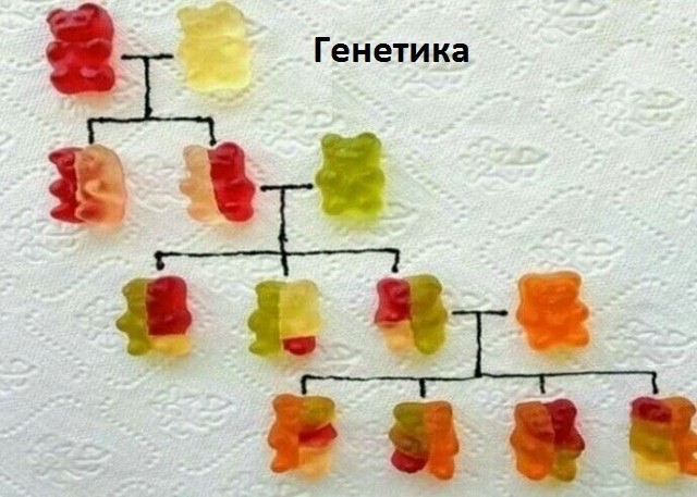 Картинки для деградации 79 (разной степени свежести)