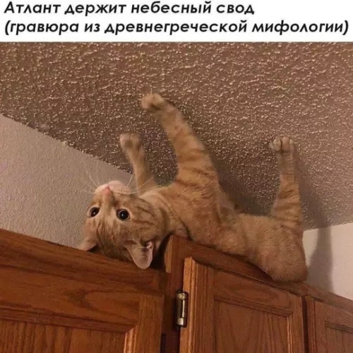 Картиночки, баянчики 10 марта