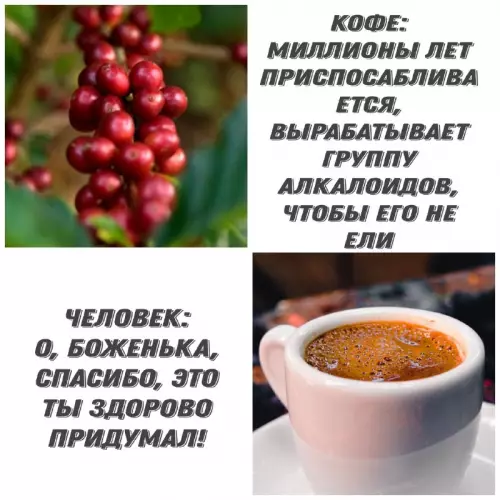 Картиночки, баянчики 13 марта