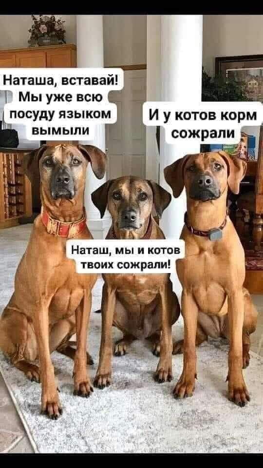 Пока не подружились