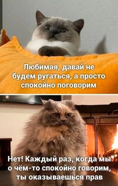 Картинки для деградации 207 (разной степени свежести)