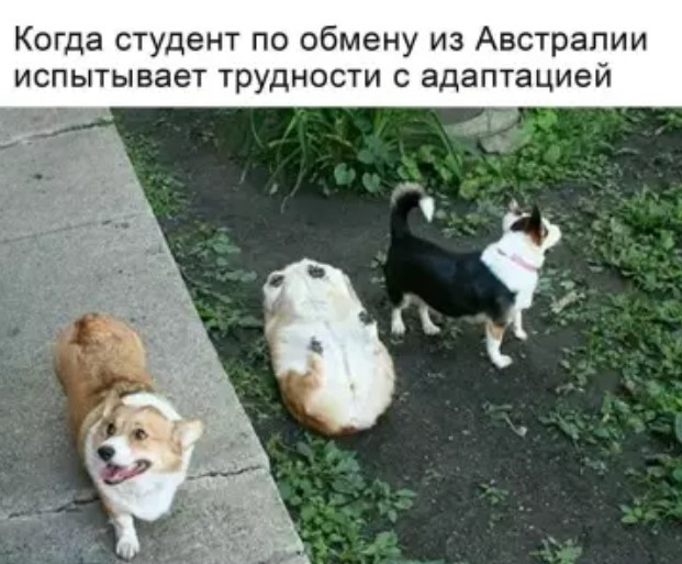 Первая суббота лета