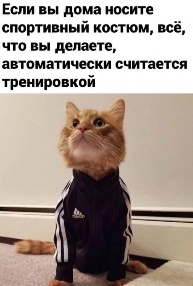 Веселые картинки в пятницу (10.07)