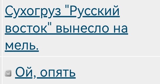 Сухогруз "Русский восток" вынесло на мель.