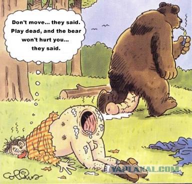 Заботливые медведи.